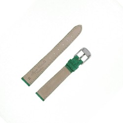 Bracelet montre Requin véritable