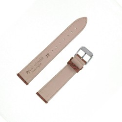 Bracelet montre Requin véritable