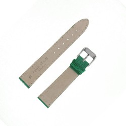 Bracelet montre Requin véritable