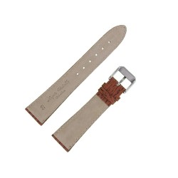 Bracelet montre Requin véritable