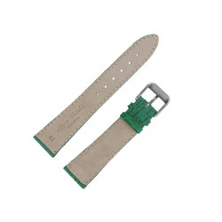 Bracelet montre Requin véritable