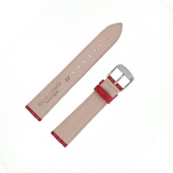 Bracelet montre Requin véritable