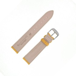 Bracelet montre Requin véritable