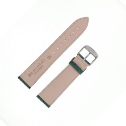 Bracelet montre Requin véritable