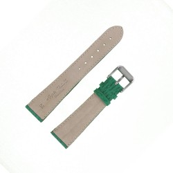 Bracelet montre Requin véritable