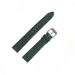 Bracelet montre Requin véritable