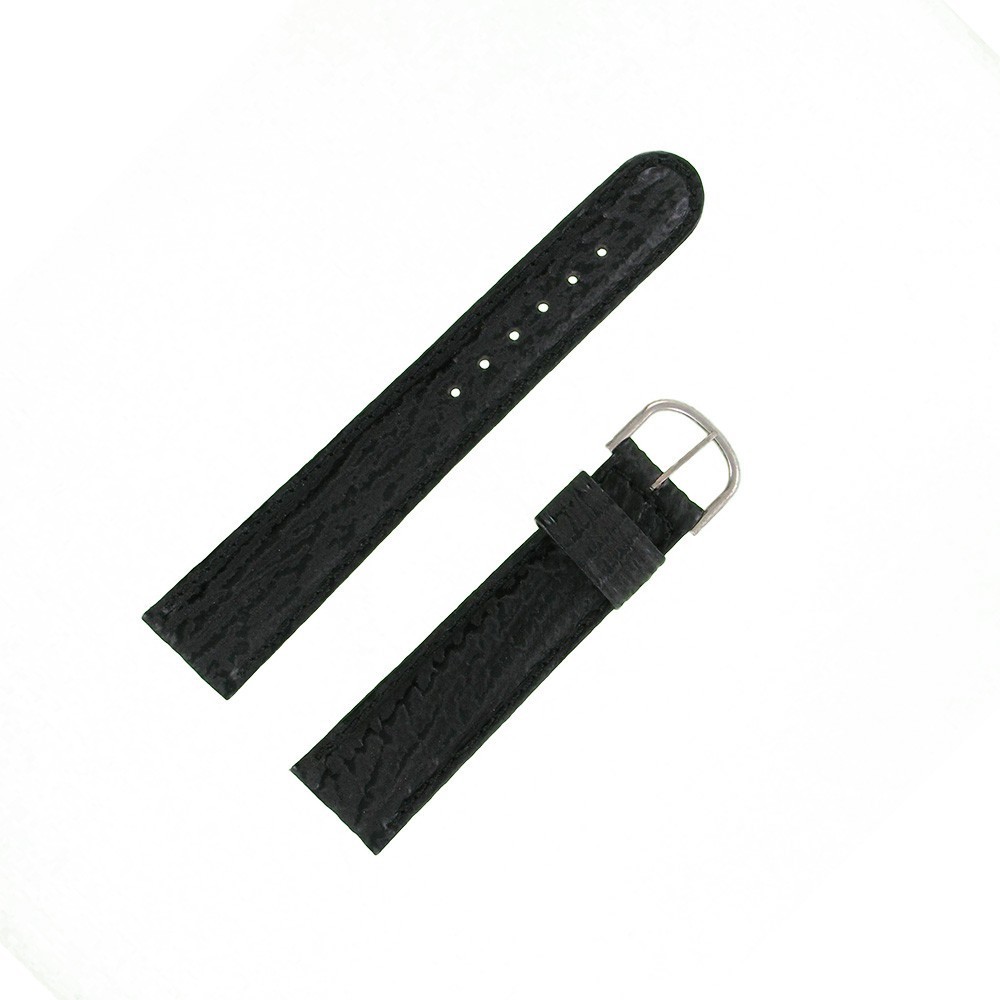 Bracelet montre Requin véritable