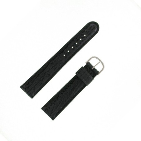 Bracelet montre Requin véritable