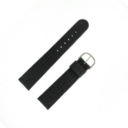 Bracelet montre Requin véritable