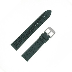 Bracelet montre Requin véritable