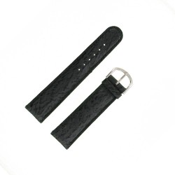 Bracelet montre Requin véritable