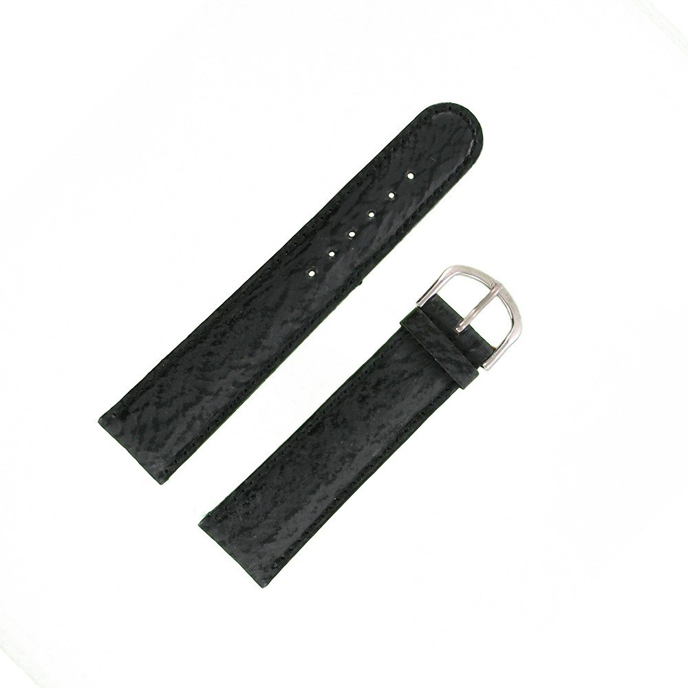 Bracelet montre Requin véritable