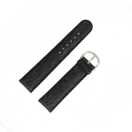 Bracelet montre Requin véritable