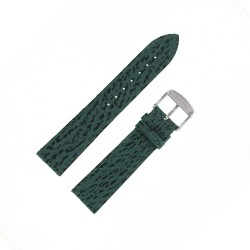 Bracelet montre Requin véritable