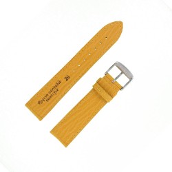 Bracelet montre Requin véritable