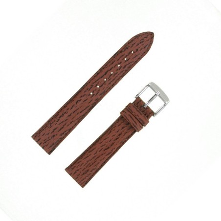 Bracelet montre Requin véritable