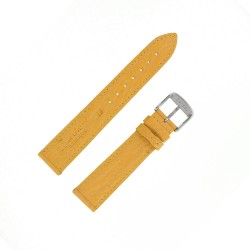 Bracelet montre Requin véritable