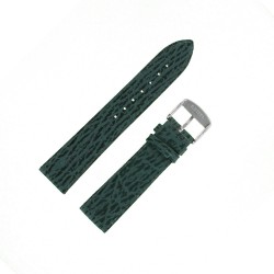 Bracelet montre Requin véritable