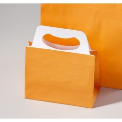 Lots de 10 Sacs Papier Orange avec anses 20x22x10cm